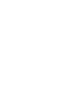 Policy and advocacy megaphone icon